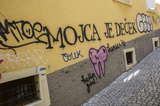 Grafite je mogoče obravnavati skozi njihov estetski, družbeni in politični vidik. | Foto: Matej Leskovšek