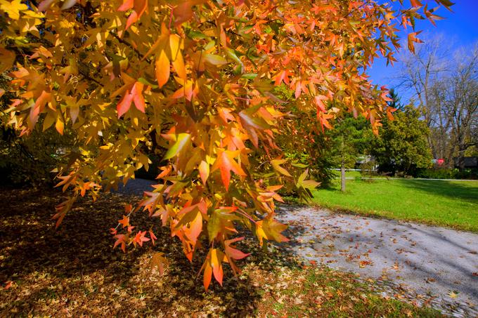 jesen kranjska gora | Foto: Thinkstock