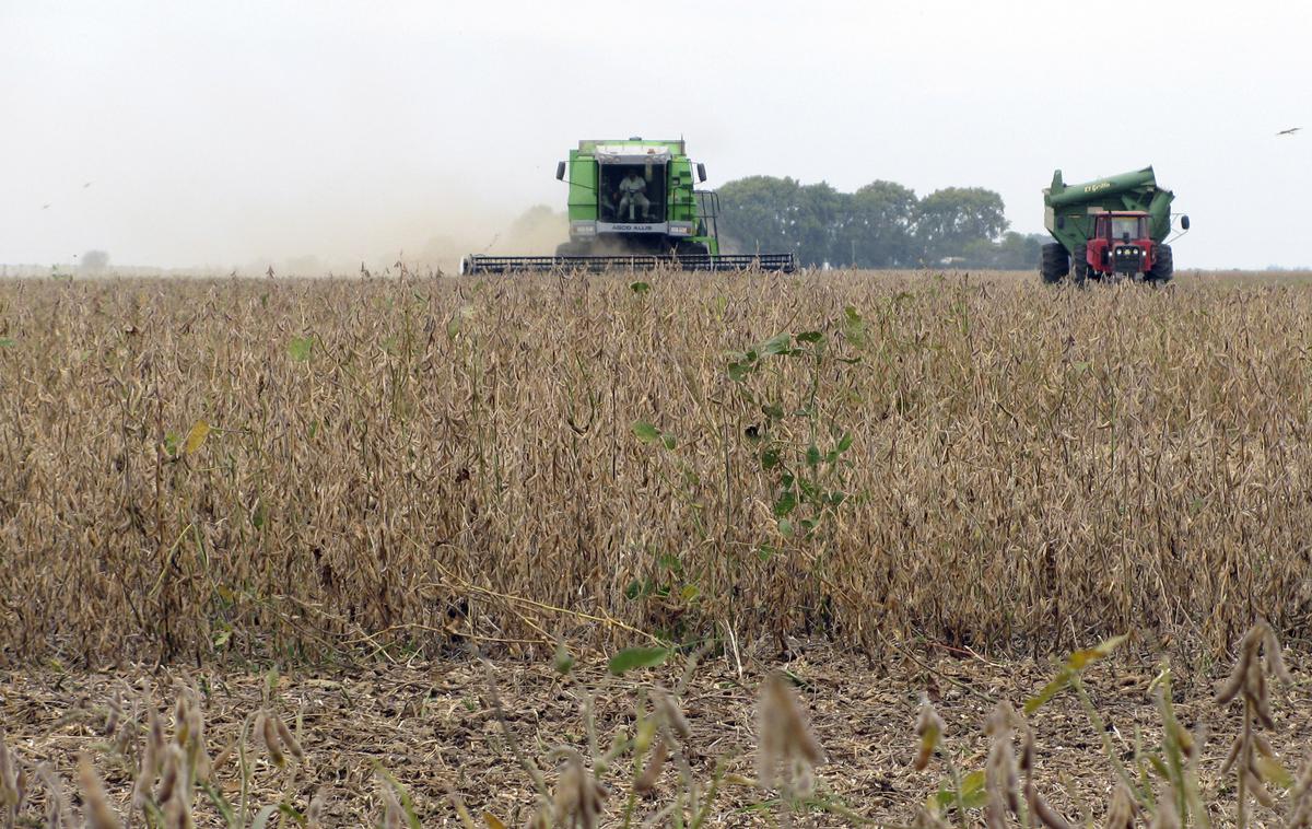 Kmetija Monsanto | Foto Reuters