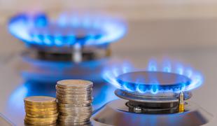 Vlada namerava omejiti ceno elektrike in plina za javne zavode in občine