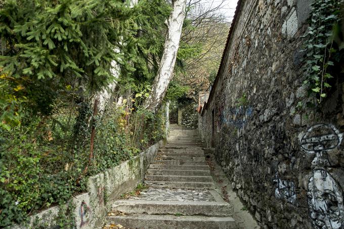 Reber, ena od poti na Ljubljanski grad, ki so ji nekoč rekli tudi Steza norcev in Kurja steza.  | Foto: Ana Kovač