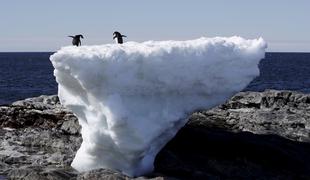 Na Antarktiki zabeležili prvi vročinski val
