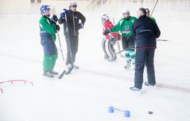 hokejska akademija Anže Kopitar Tomaž Razingar