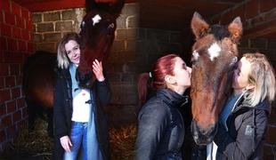 Čudež pred božičem: Slovenka po 16 letih našla izgubljenega konja