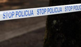 Kaj sta na slovenskem ozemlju počela hrvaška policista?