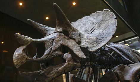 V Argentini odkrili ogromno stranišče dinozavrov