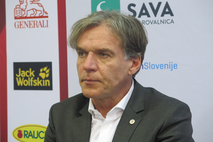 David Kastelic, Zavarovalnica Sava