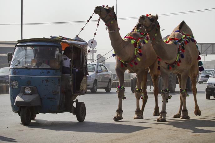 Rikše, rikša | Foto Reuters