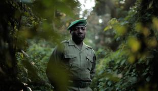 Raziskovalec: Bitka za Virungo