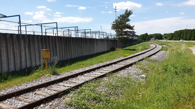 Pot vzdolž proge je neurejena steza po travniku, ki je ob deževnih dneh blatna, občasno pa tudi pognojena, saj gre za del kmetijskih površin. | Foto: Metka Prezelj