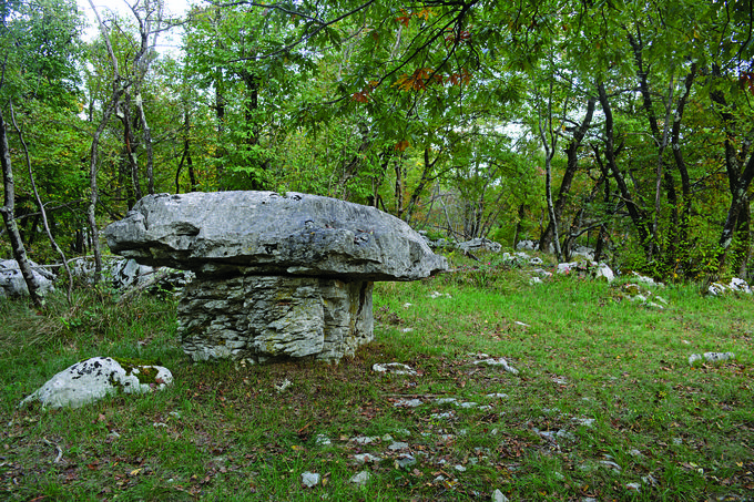 Kamnito mizo ali gobo si lahko ogledate v Lipici.  | Foto: Arhiv Mladinske knjige