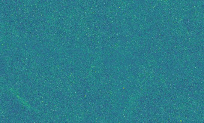 Takole je videti fotografija Evropske vesoljske agencije, če jo malce približamo. Vsaka svetla pika je posamezna galaksija.  | Foto: Evropska vesoljska agencija (ESA)