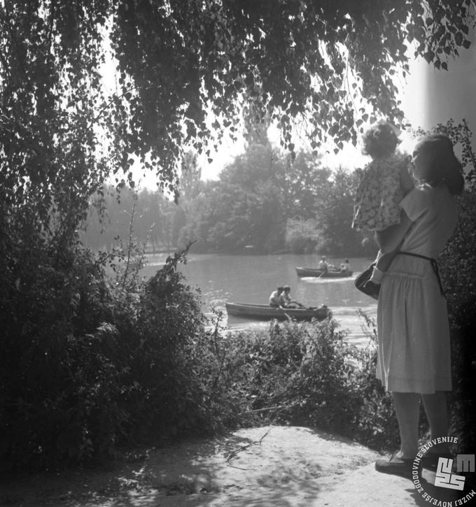 Vožnja s čolni po Tivolskem ribniku je bila nekaj časa mogoča tudi po drugi svetovni vojni (fotografija je iz leta 1950). | Foto: Jože Mally, hrani: MNZS