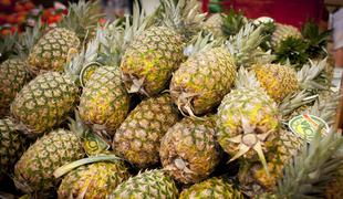 Španska policija zasegla ananase, napolnjene s kokainom 