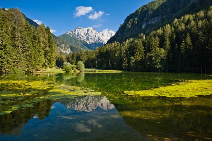 Ob Planšarskem jezeru na Jezerskem boste našli obilico senčnih površin. | Foto: Jošt Gantar (www.slovenia.info)