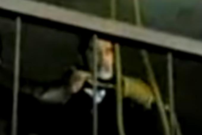 Prizor iz videoposnetka, ki je prikazoval usmrtitev diktatorja Saddama Husseina.  | Foto: LiveLeak