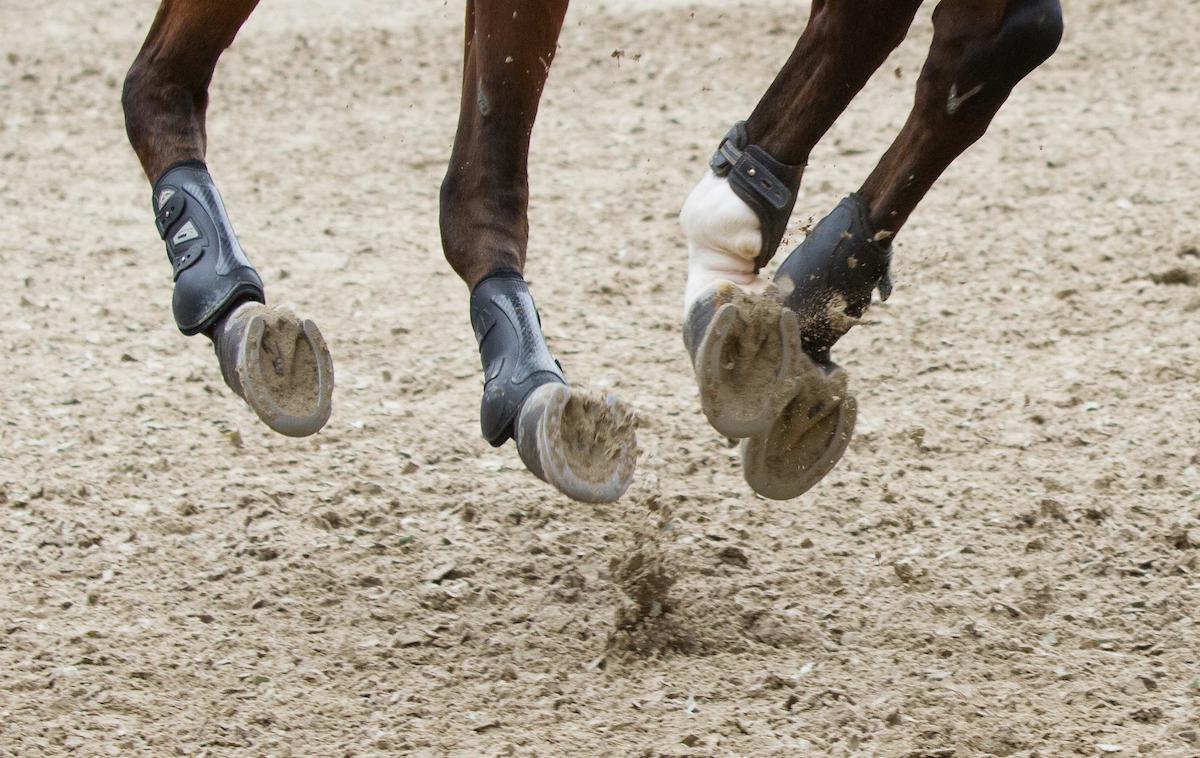 konjeništvo | Nemško konjeništvo pretresa afera. | Foto Sportida