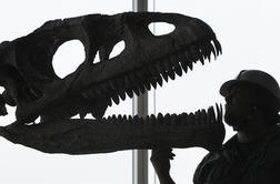 V Južni Koreji odkrili največje sledi ugrizov dinozavra