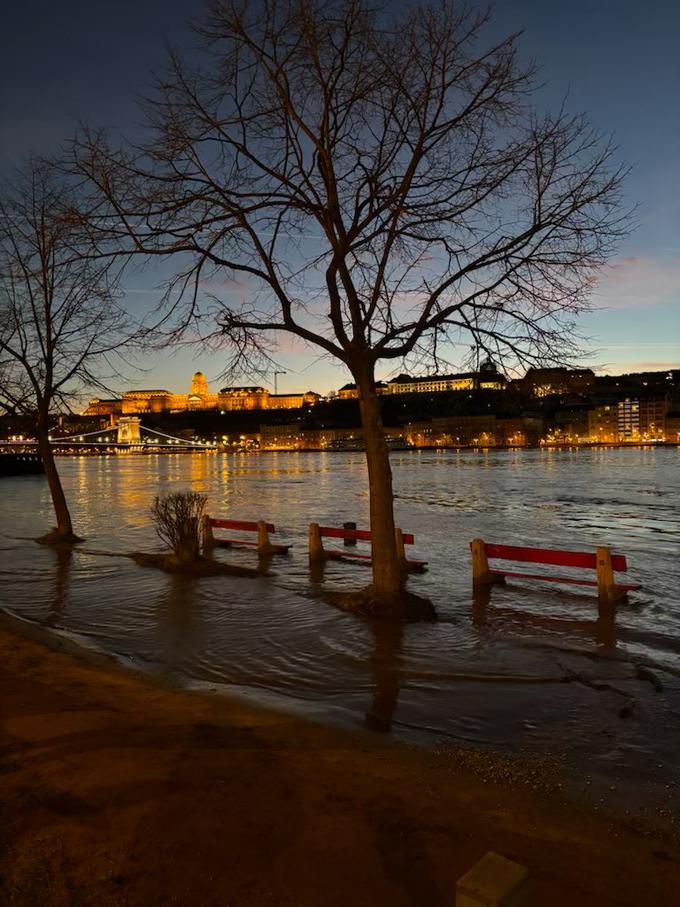 Iz agencije za upravljanje voda pa so sporočili še, da je gladina Donave višino šestih metrov v decembru nazadnje presegla leta 1987, a takrat ni poplavila cest ob obali. | Foto: Jošt Jerina