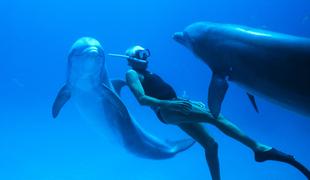 Človek delfin (Dolphin Man)