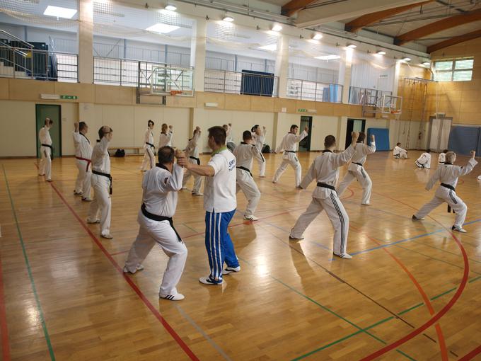 Usposabljanje za strokovne delavce v športni panogi taekwondo | Foto: 
