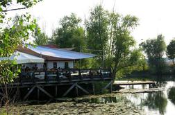 Gostišče Oaza: Argentina na prekmurskem ribniku