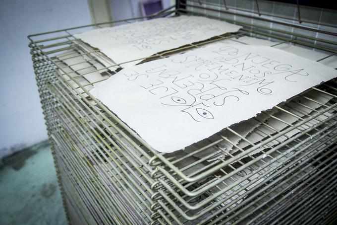 Sušenje plakatov, ki so nastali iz papirja iz japonskega dresnika. | Foto: 