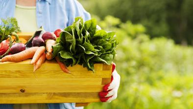 Anketa kaže: Slovenci večino zelenjave pridelamo na svojih vrtičkih