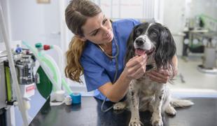 Veterinarji ne skrbijo le za dobrobit živali, ampak tudi za zdravje ljudi
