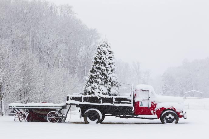 Sneg božič | ZDA bodo imele po napovedih zelo hladen božič. | Foto Guliverimage