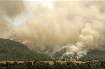 V Grčiji in Turčiji divjajo gozdni požari