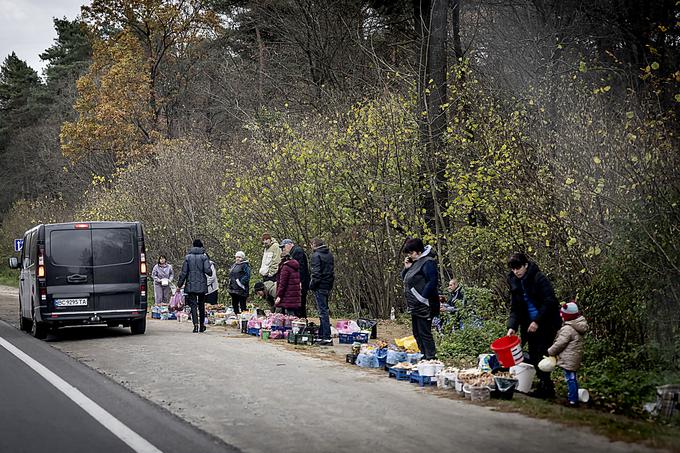 Ogromno ljudi nabira gobe in jih prodaja ob cesti.  | Foto: Ana Kovač