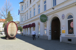 Slovenci, ki stojijo za nakupom mariborske vinske kleti