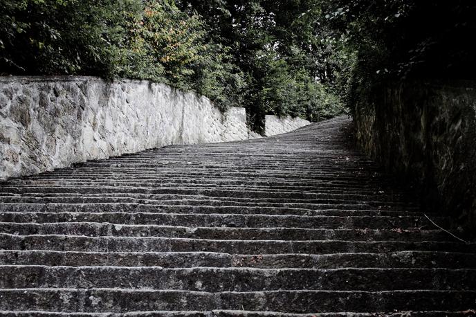 Mauthausen, holokavst | 186 stopnic, po katerih so morali interniranci v koncentracijskem taborišču Mauthausen vsakodnevno čim hitreje nositi 50-kilogramske skale, sami pa so v povprečju tehtali samo okrog 40 kilogramov. Stopnic jih ogromno ni preživelo. | Foto Flickr/Ramón Cutanda López/ javna domena CC 2.0