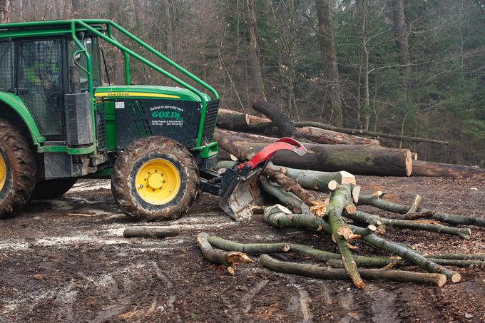 Po navodilih Zavoda za gozdove Slovenije bodo morali gozdarji delo opraviti tako, da bodo gozd čim manj poškodovali.  | Foto: Žiga Krančan