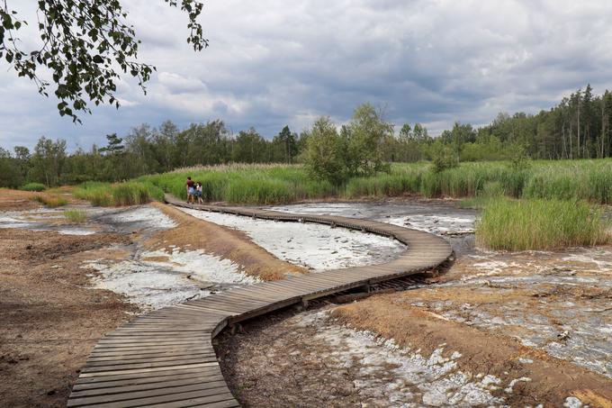 Naravni rezervat Soos je več kot 200 hektarov veliko mokrišče. | Foto: Matej Podgoršek