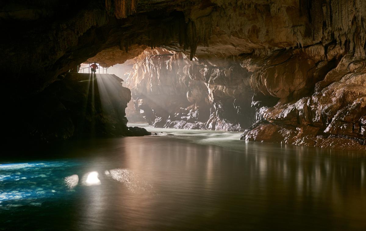 Postojnska jama | Foto Postojnska jama