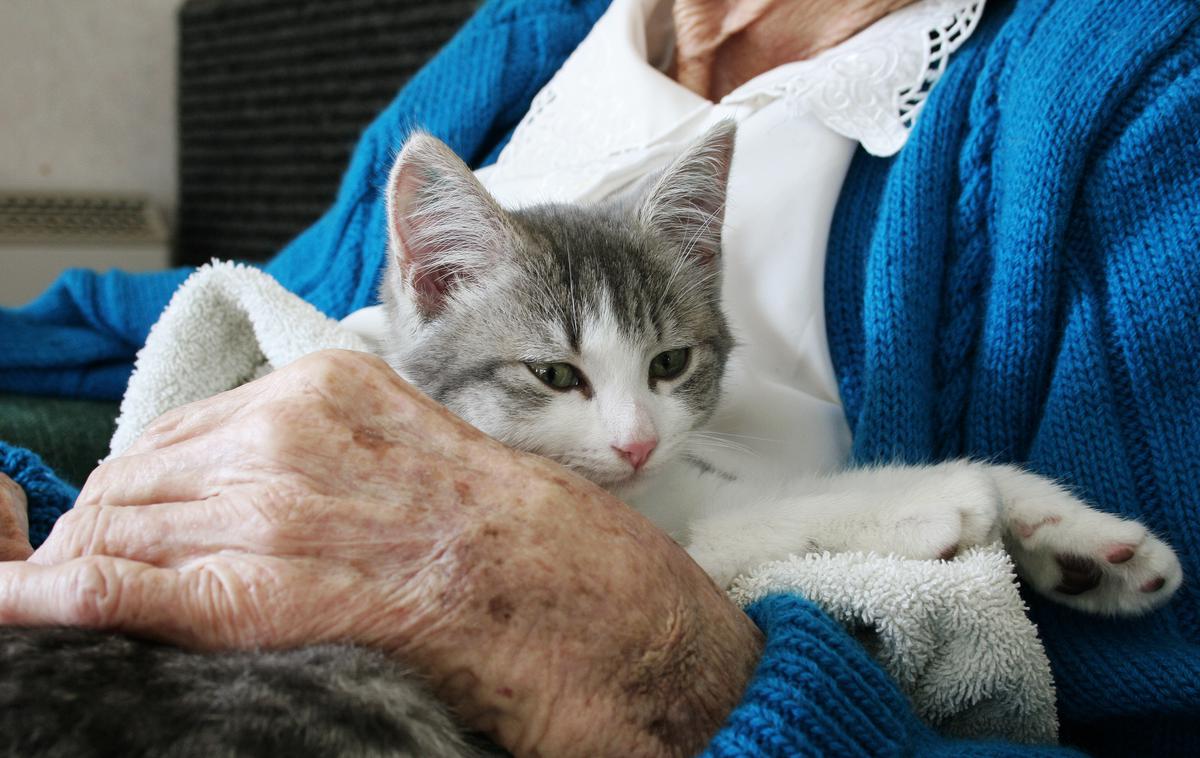 pokojnina maček ljudje | Foto Getty Images