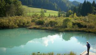 Zelenci: kjer se rojeva najdaljša slovenska reka