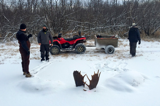 Brad Webber in njegov prijatelj sta zmrznjeni živali našla takole. | Foto: Twitter - Voranc