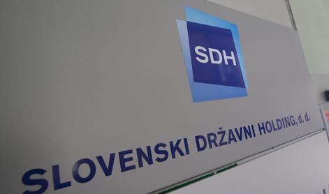 SDH sodišču predlaga razveljavitev prodaje deleža v Meti Ingenium