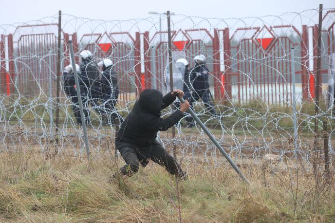 migranti poljska-belorusija | Migranti poizkušajo prečkati belorusko-poljsko mejo. Fotografija je bila posneta pred tremi tedni. | Foto Reuters