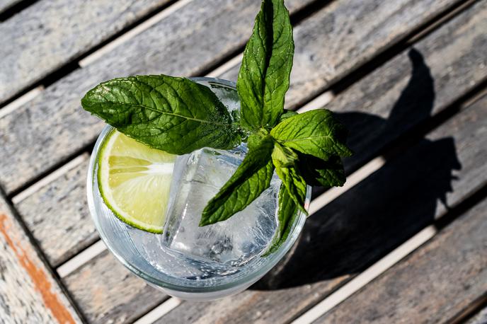 gin tonic | Foto Thinkstock