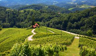 Francozi ukradli znamenito štajersko Srce med vinogradi