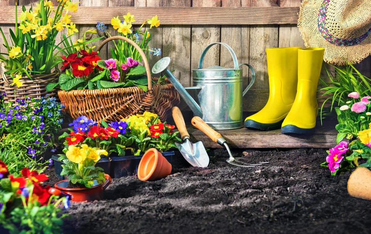 Vrtnarjenje | Foto Getty Images