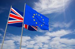 EU vztraja pri irskem varovalu in trdi, da alternativnih predlogov ni #video