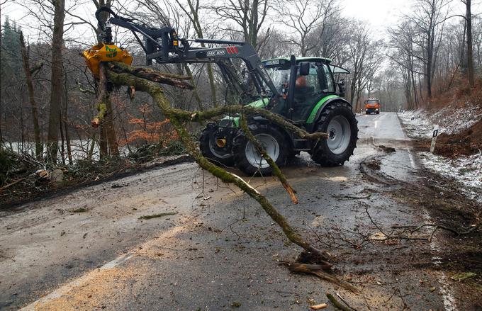 neurje cesta podrta drevesa delo na cesti nemčija | Foto: Reuters