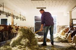 Zakaj je meso z znakom izbrana kakovost – Slovenija prava izbira