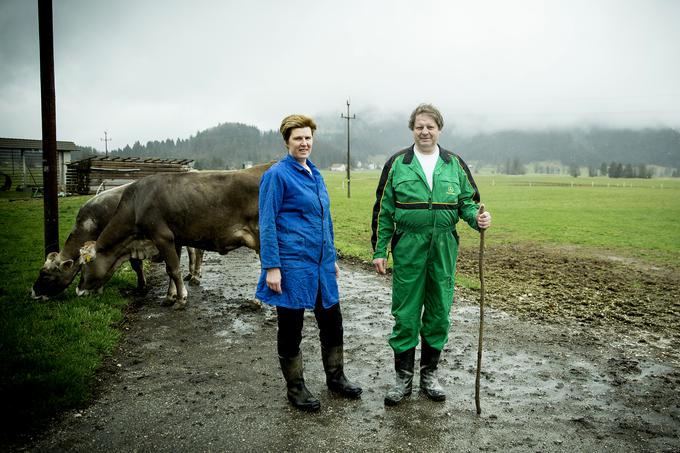 Kmetija Klančar Marjan Anita Pivk mlečni izdelki mleko krava kmetija Zadlog Črni vrh pri Idriji | Foto: Ana Kovač