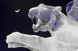 FOTO: Umetnost v snegu in ledu